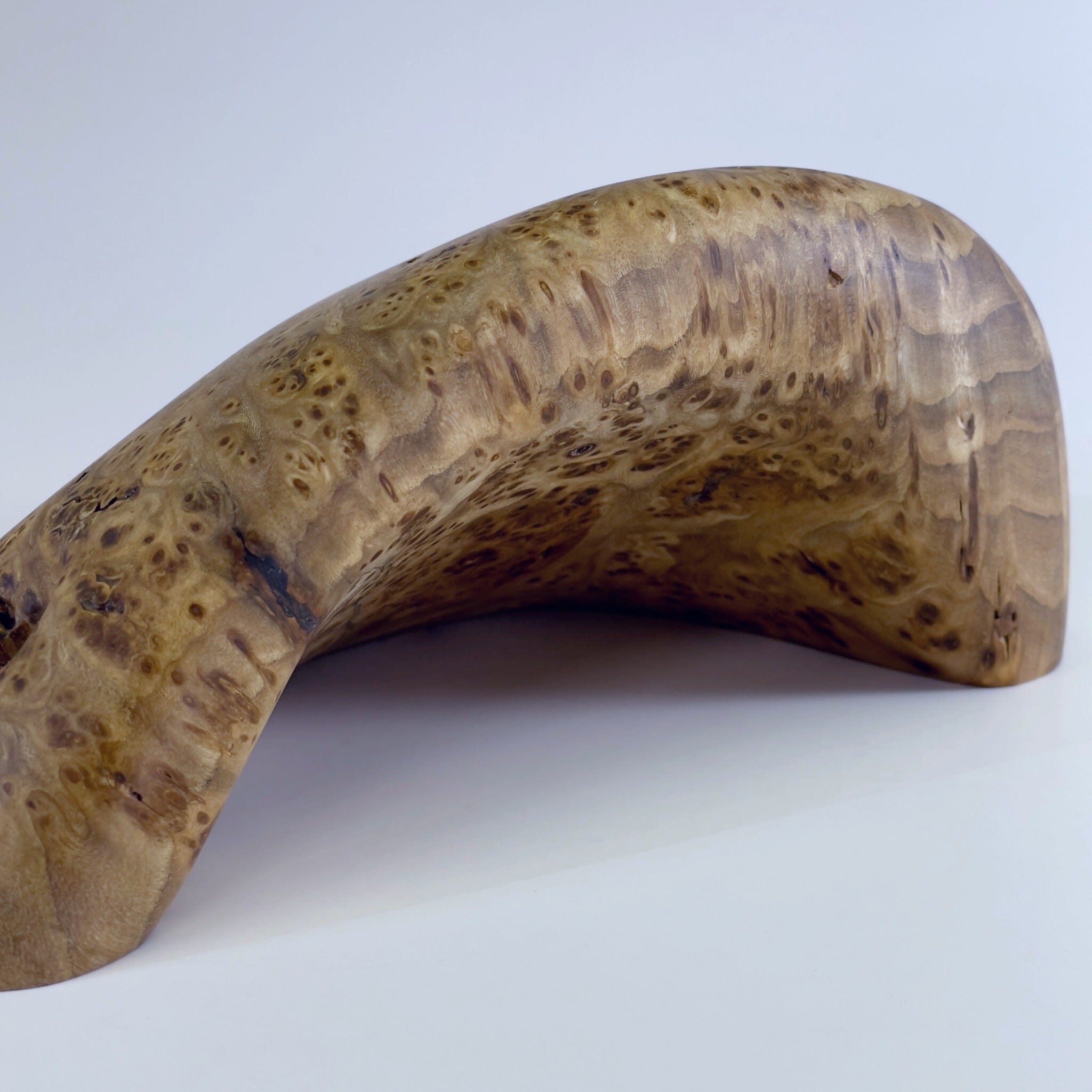 Big Burl Cup Holds Ground Up Grips