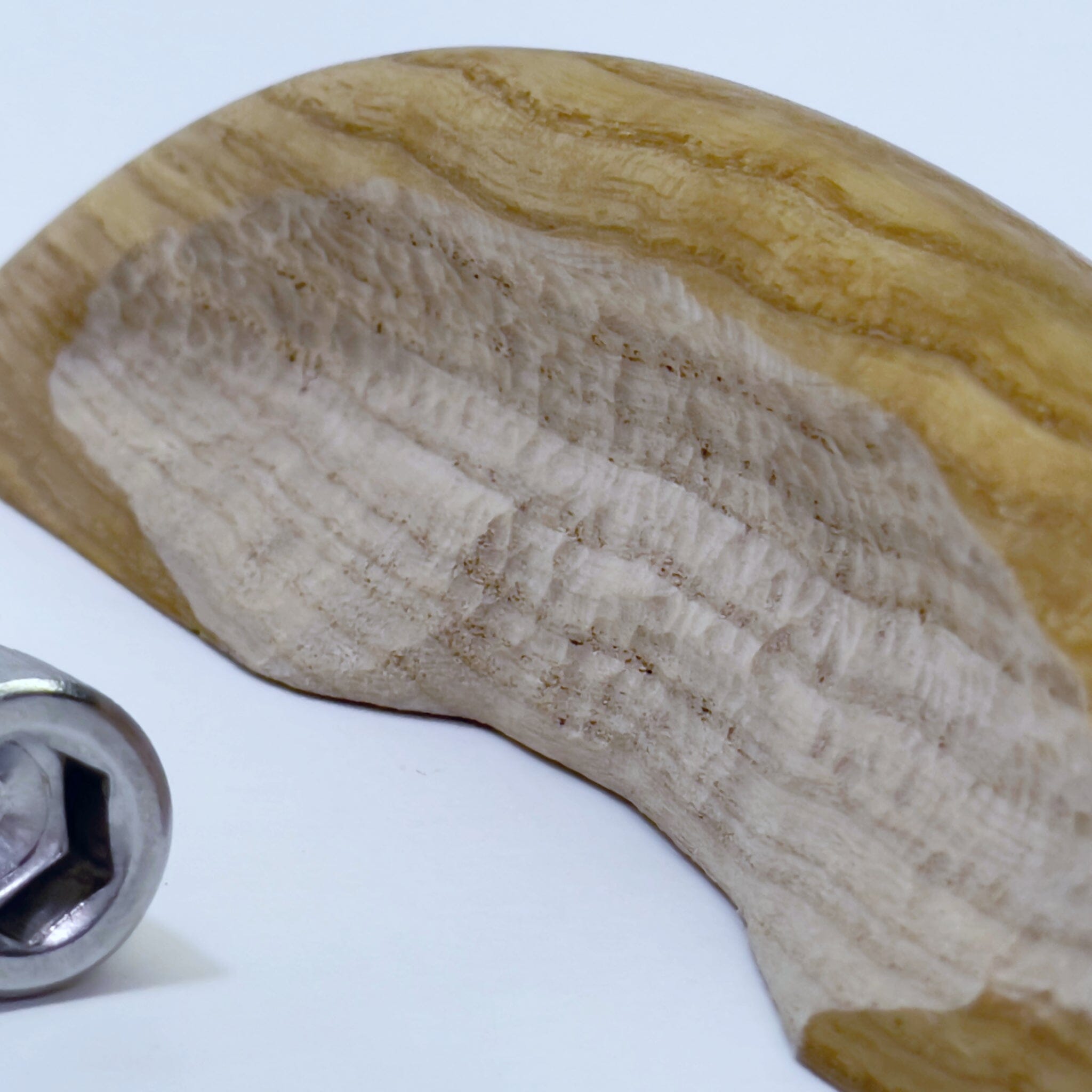 Moon Landing Holds Ground Up Grips