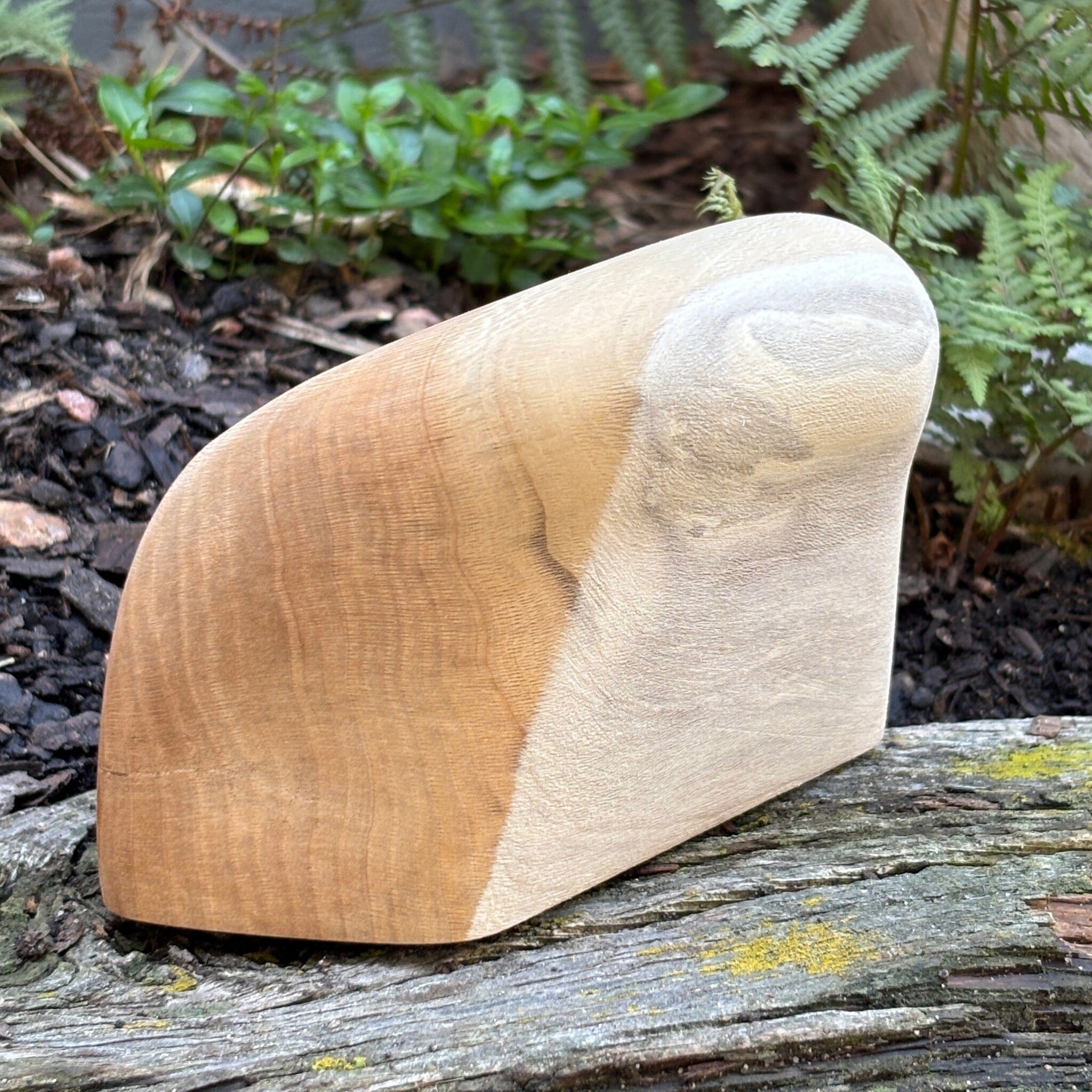 Sycamore Jug Holds Ground Up Grips