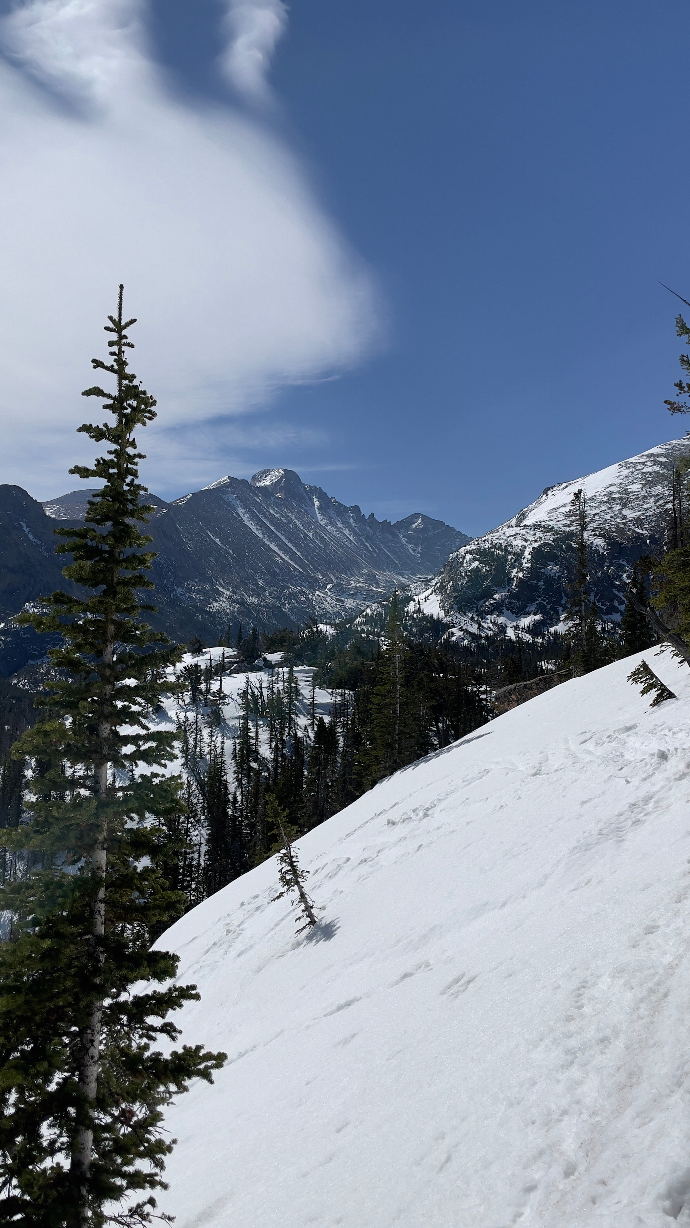 Snowy mountain landscape with trees and a blue sky looking out on Long's Peak, Colorado.