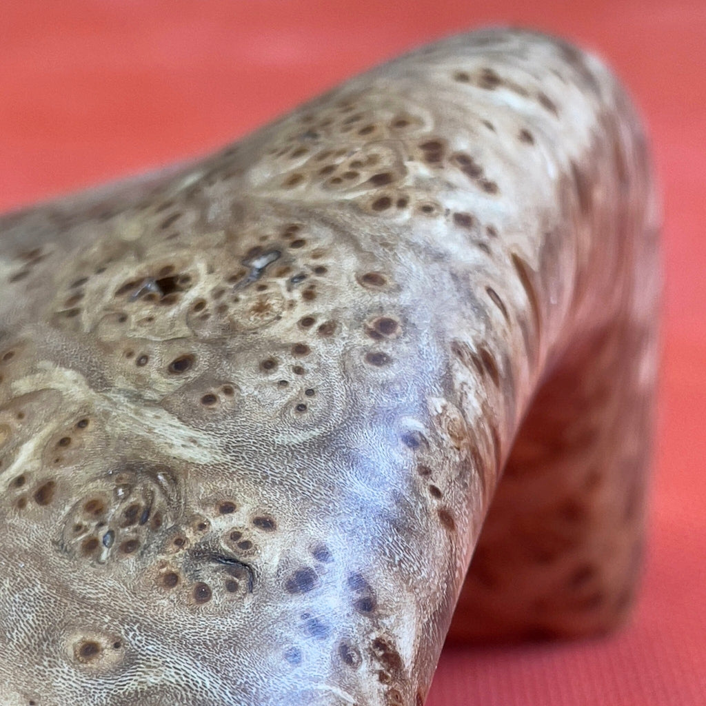 Closeup of a large burl wood climbing hold.