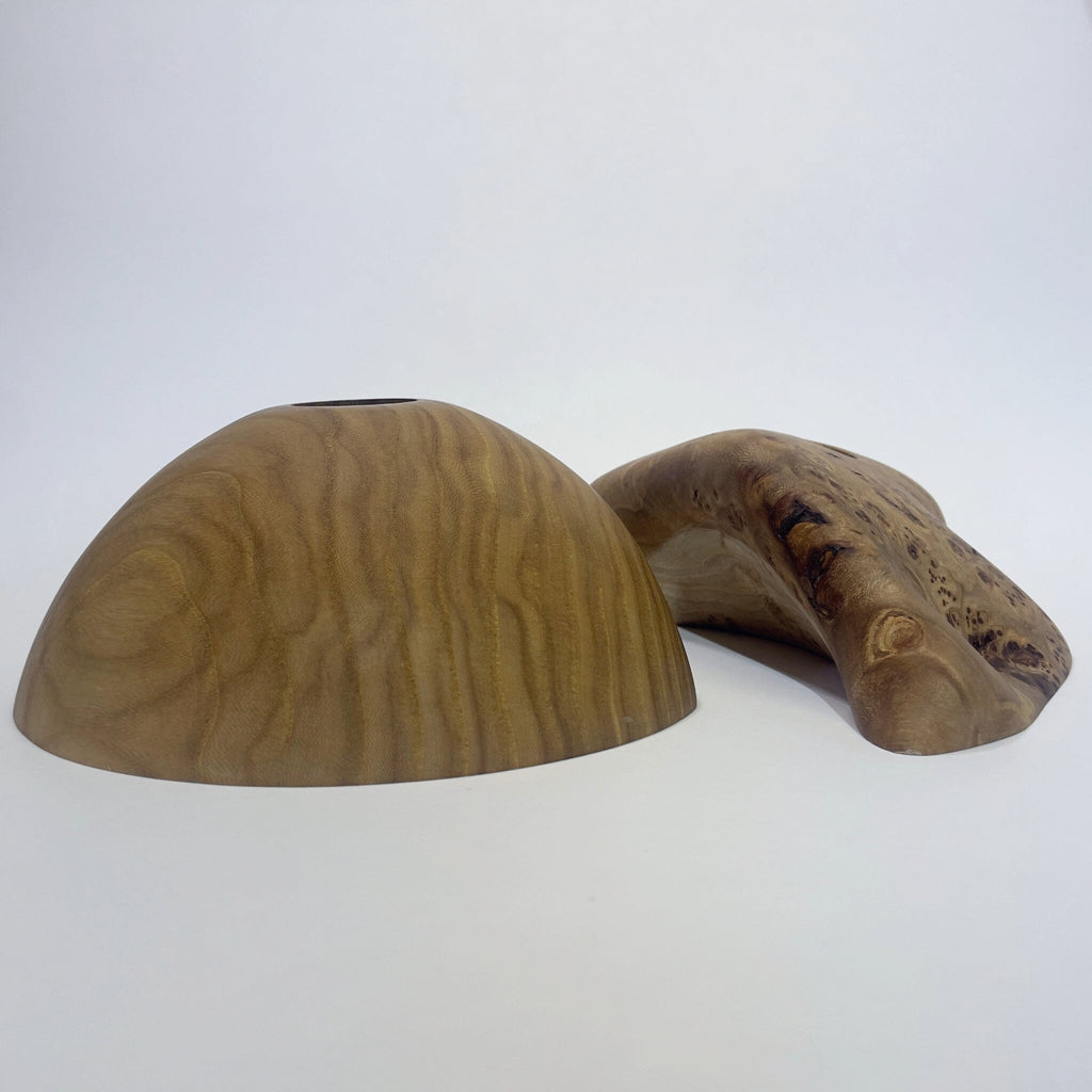 Big Elms Holds Ground Up Grips 