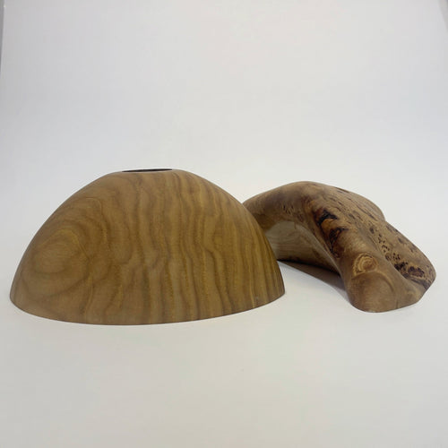 Big Elms Holds Ground Up Grips 