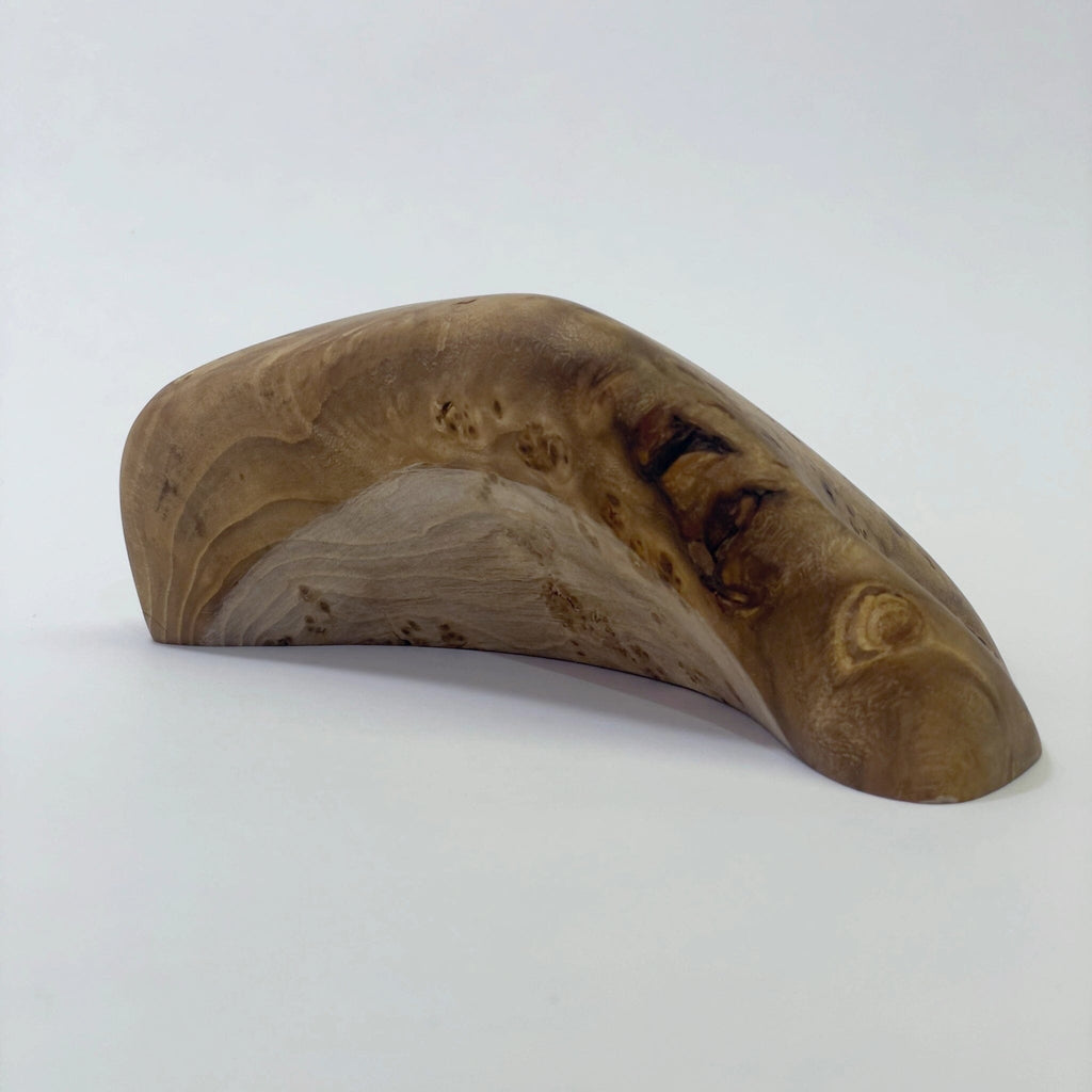 Big Elms Holds Ground Up Grips 