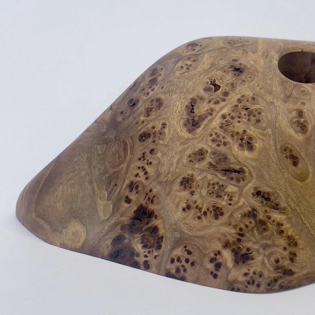 Big Elms Holds Ground Up Grips 