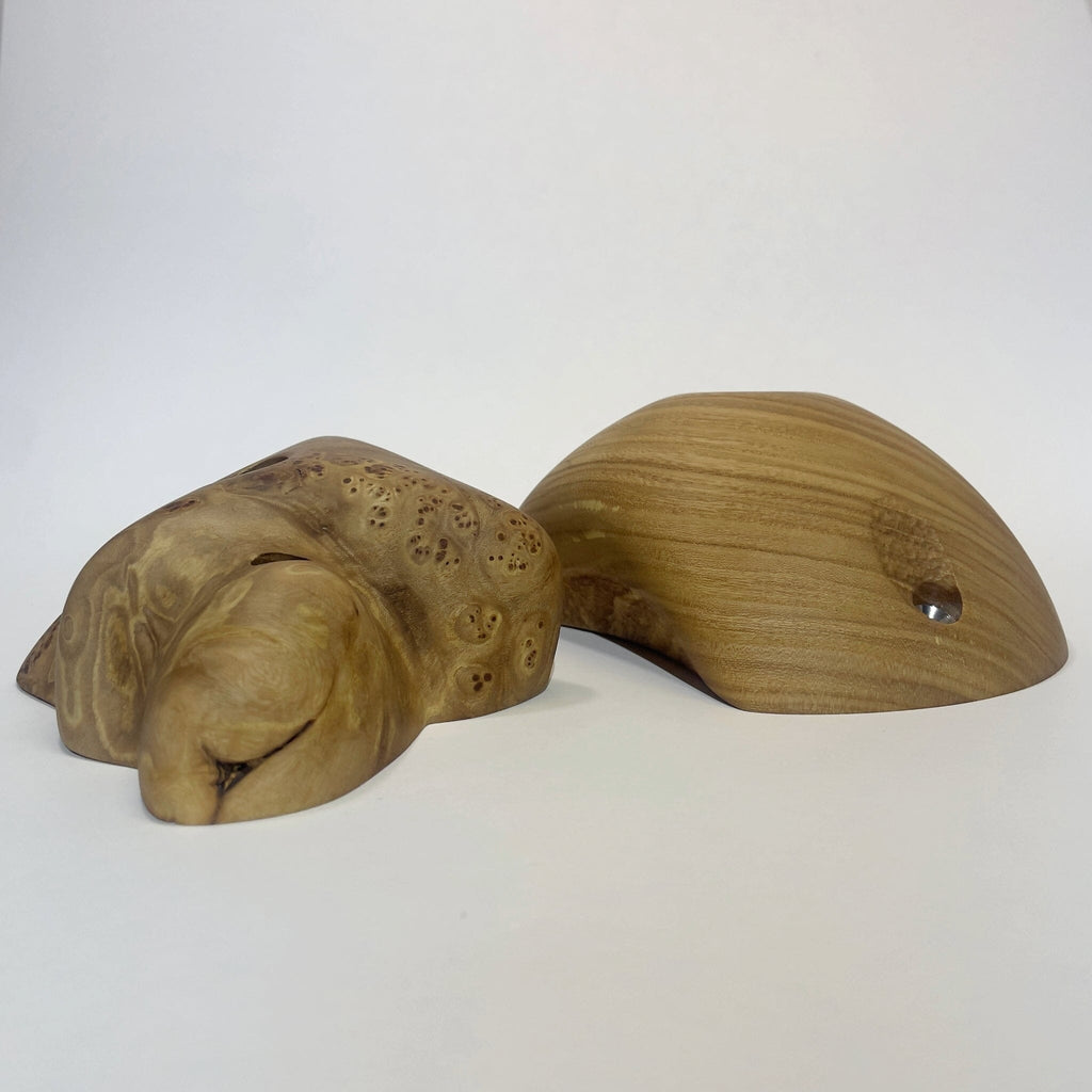 Big Elms Holds Ground Up Grips 