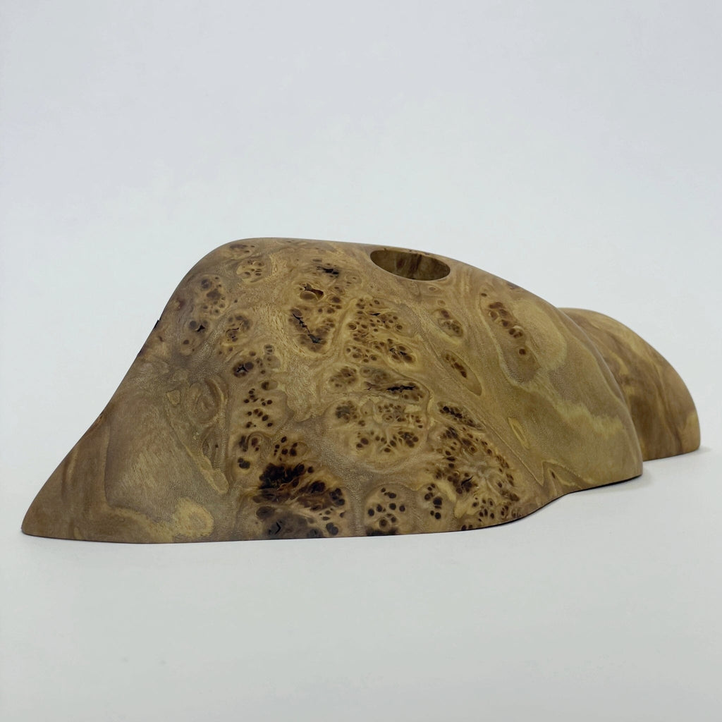 Big Elms Holds Ground Up Grips 