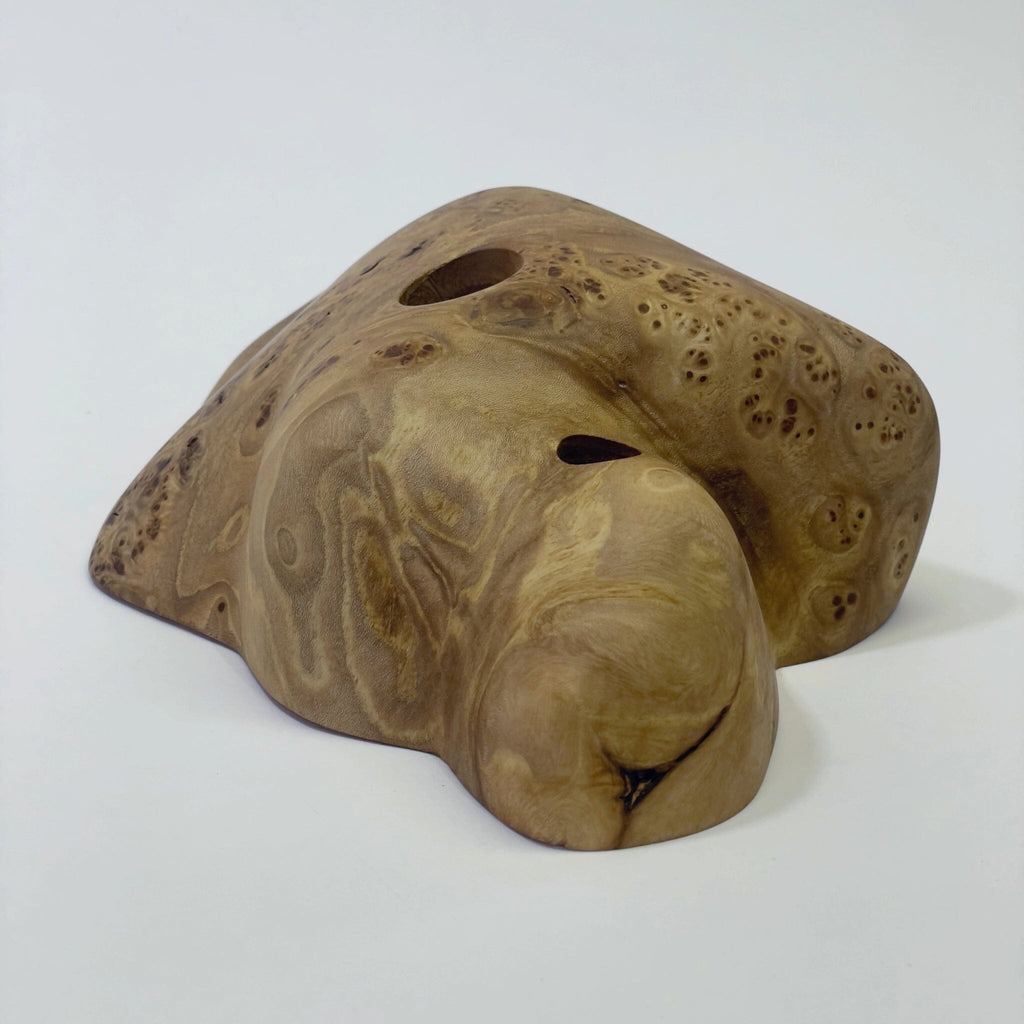 Big Elms Holds Ground Up Grips 